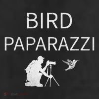 Bird Paparazzi Bird Photography Camera Bird Watcher 11oz C Handle Ceramic Mug