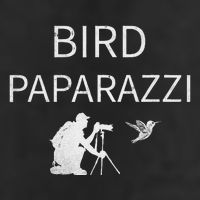 Bird Paparazzi Bird Photography Camera Bird Watcher Golf Towel