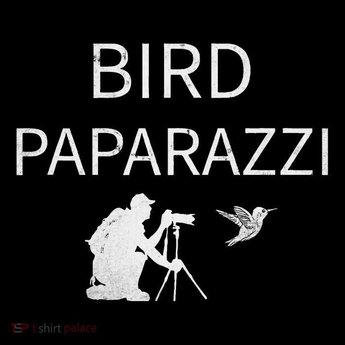 Bird Paparazzi Bird Photography Camera Bird Watcher Womens T-Shirt