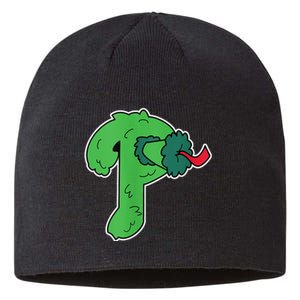 Big Phanatic Sustainable Beanie