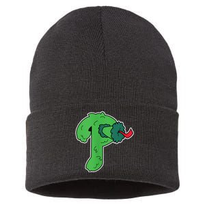 Big Phanatic Sustainable Knit Beanie