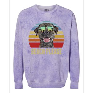 Beach Please Border Terrier Dog Funny Summer Gift Colorblast Crewneck Sweatshirt