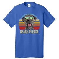 Beach Please Border Terrier Dog Funny Summer Gift Tall T-Shirt