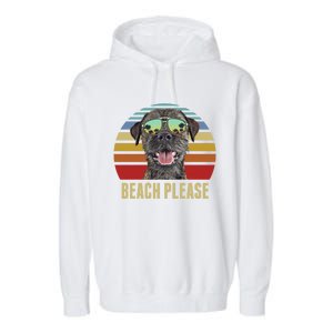 Beach Please Border Terrier Dog Funny Summer Gift Garment-Dyed Fleece Hoodie