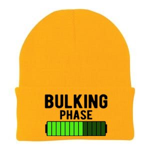 Bulking Phase Battery Loading Progress Bodybuilder Fitness Gift Knit Cap Winter Beanie