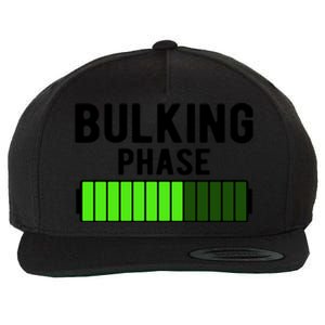 Bulking Phase Battery Loading Progress Bodybuilder Fitness Gift Wool Snapback Cap