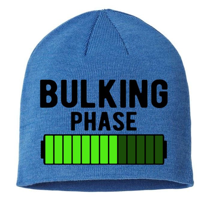 Bulking Phase Battery Loading Progress Bodybuilder Fitness Gift Sustainable Beanie