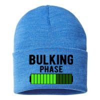 Bulking Phase Battery Loading Progress Bodybuilder Fitness Gift Sustainable Knit Beanie