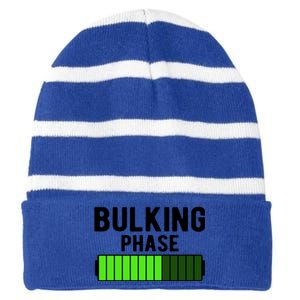 Bulking Phase Battery Loading Progress Bodybuilder Fitness Gift Striped Beanie with Solid Band