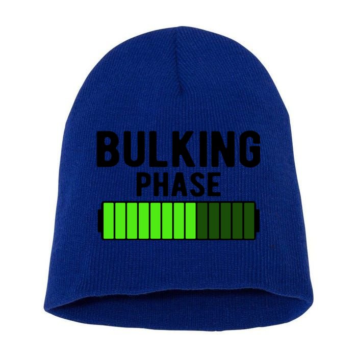 Bulking Phase Battery Loading Progress Bodybuilder Fitness Gift Short Acrylic Beanie