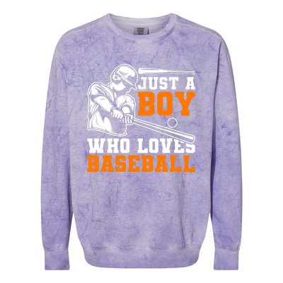 Baseball Player Batter Fan Just A Boy Who Loves Baseball Colorblast Crewneck Sweatshirt