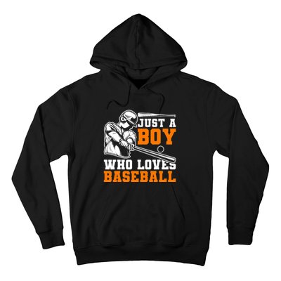 Baseball Player Batter Fan Just A Boy Who Loves Baseball Hoodie