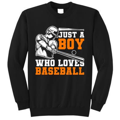 Baseball Player Batter Fan Just A Boy Who Loves Baseball Sweatshirt