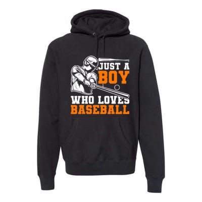 Baseball Player Batter Fan Just A Boy Who Loves Baseball Premium Hoodie