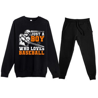 Baseball Player Batter Fan Just A Boy Who Loves Baseball Premium Crewneck Sweatsuit Set