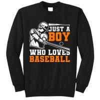 Baseball Player Batter Fan Just A Boy Who Loves Baseball Tall Sweatshirt