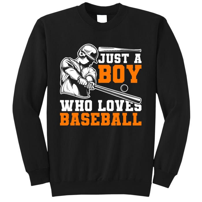 Baseball Player Batter Fan Just A Boy Who Loves Baseball Tall Sweatshirt