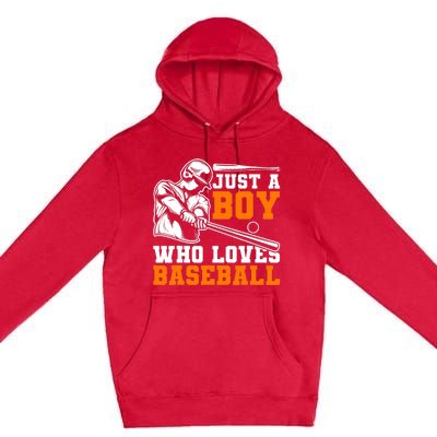 Baseball Player Batter Fan Just A Boy Who Loves Baseball Premium Pullover Hoodie