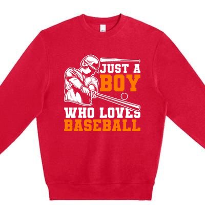 Baseball Player Batter Fan Just A Boy Who Loves Baseball Premium Crewneck Sweatshirt