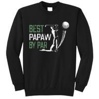 Best Papaw By Par Fathers Day Gifts Golf Lover Sweatshirt