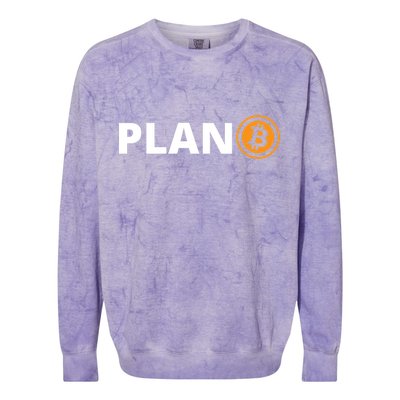 Bitcoin, Plan B, DeF,i BTFD, Bitcoin, HODL, Crypto Gift, Cryptocoin Colorblast Crewneck Sweatshirt