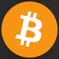 Bitcoin Pocket Adult Drive Performance Visor