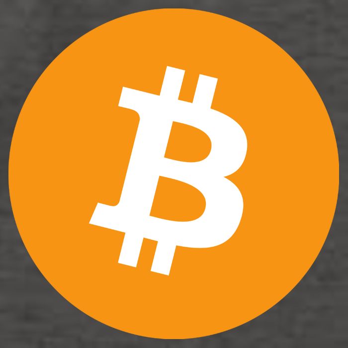 Bitcoin Pocket Vector Backpack