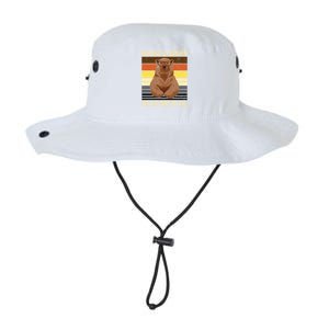 Bear Pride Brains And Brawn Gay Bear Brotherhood Funny Gift Legacy Cool Fit Booney Bucket Hat