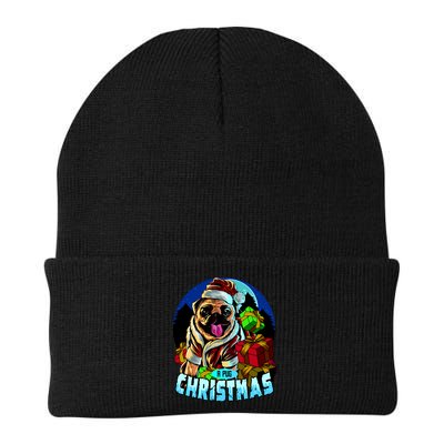 Best Pug Christmas Beanie