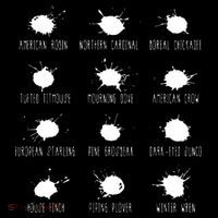 Birds Poops Chart Bucket Hat