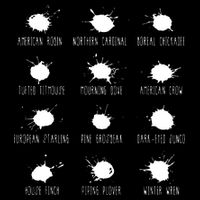 Birds Poops Chart 16 in Basic Backpack