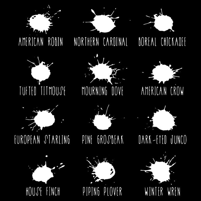 Birds Poops Chart 16 in Basic Backpack