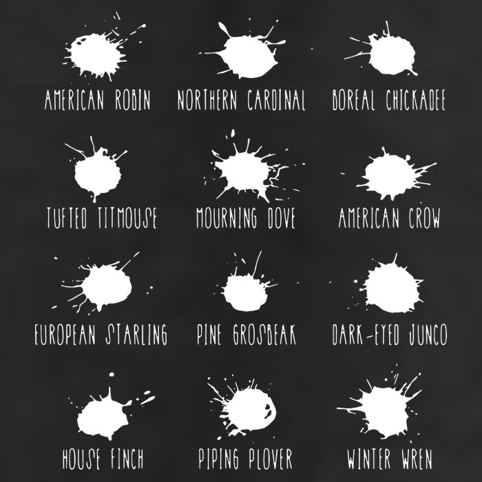 Birds Poops Chart Tumbler