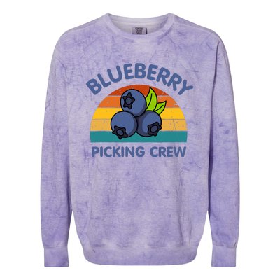 Blueberry Picking Crew Cute Family Blueberries Summer Fruit Colorblast Crewneck Sweatshirt