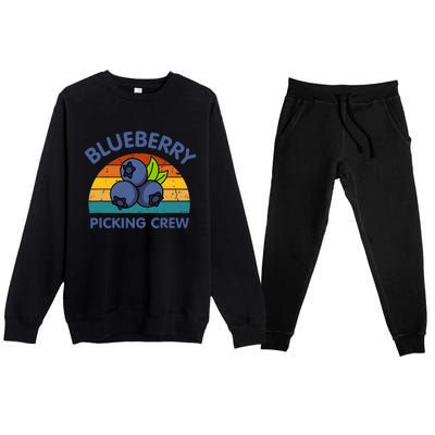 Blueberry Picking Crew Cute Family Blueberries Summer Fruit Premium Crewneck Sweatsuit Set