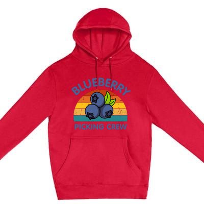 Blueberry Picking Crew Cute Family Blueberries Summer Fruit Premium Pullover Hoodie