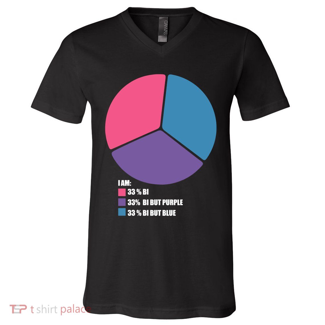 Bisexual Pie Chart Bisexual Pride V-Neck T-Shirt