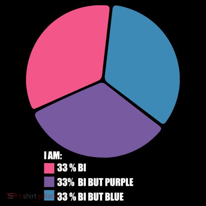 Bisexual Pie Chart Bisexual Pride Button