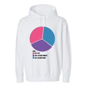 Bisexual Pie Chart Bisexual Garment-Dyed Fleece Hoodie