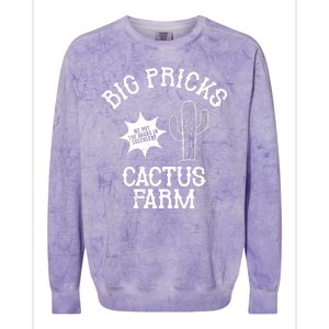 Big Pricks Cactus Farm Funny Colorblast Crewneck Sweatshirt