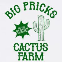 Big Pricks Cactus Farm Funny Visor