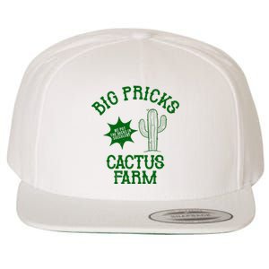 Big Pricks Cactus Farm Funny Wool Snapback Cap