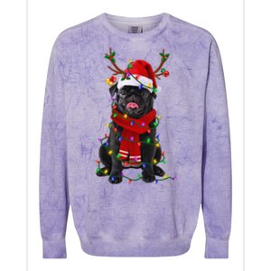 Black Pug Dog Tree Christmas Lights Xmas Pajama Colorblast Crewneck Sweatshirt