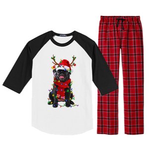 Black Pug Dog Tree Christmas Lights Xmas Pajama Raglan Sleeve Pajama Set