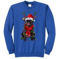 Black Pug Dog Tree Christmas Lights Xmas Pajama Tall Sweatshirt