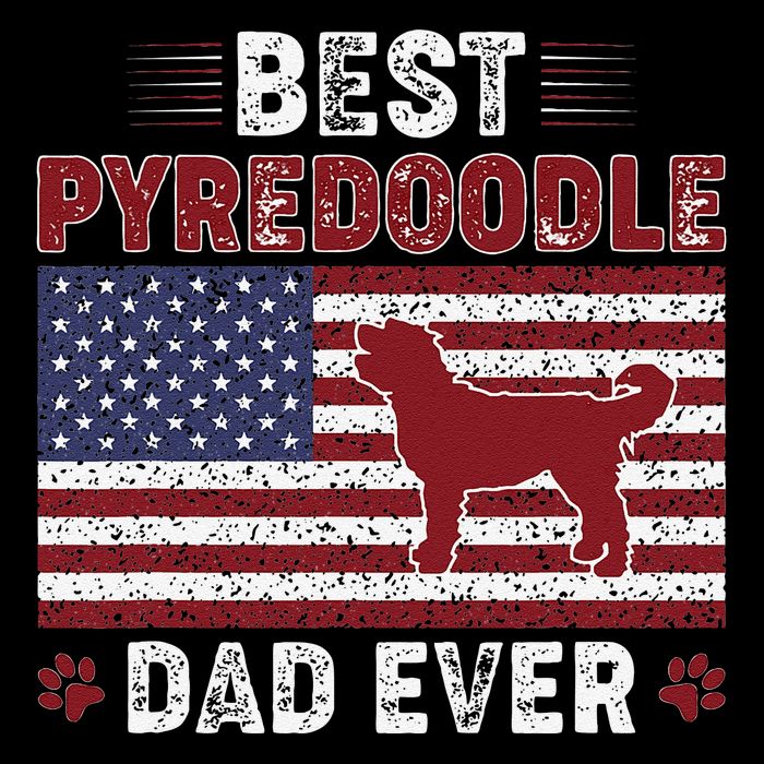 Best Pyredoodle Dad Ever American Flag Dog Dad Stripe Pom Pom Beanie