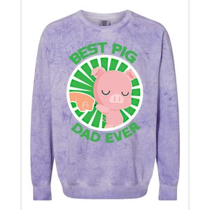 Best Pig Dad Ever Gift Colorblast Crewneck Sweatshirt