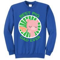 Best Pig Dad Ever Gift Sweatshirt