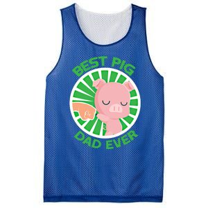 Best Pig Dad Ever Gift Mesh Reversible Basketball Jersey Tank