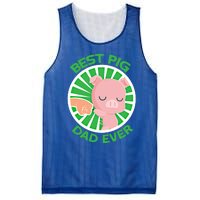 Best Pig Dad Ever Gift Mesh Reversible Basketball Jersey Tank